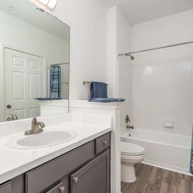 Modern Bathroom Design A modern bathroom featuring a white bathtub with a blue patterned shower curtain, a dark gray vanity with a marble countertop, and a large mirror. The flooring is a light wood finish, and there is a small green plant on the vanity.