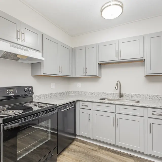 A modern kitchen featuring gray cabinets, a black stovetop and oven, a black refrigerator, and a stainless steel sink. The countertop is made of granite, and there is a range hood above the stovetop.