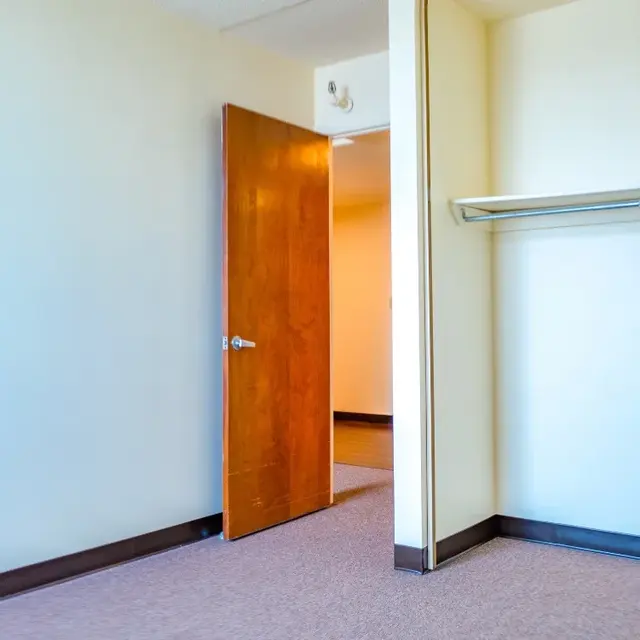 An empty room featuring a wooden door on the left and a small closet on the right with a metal hanging rod.