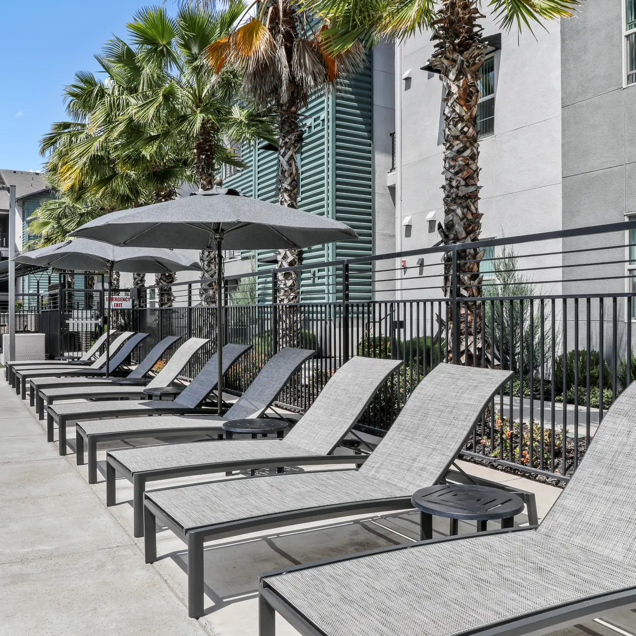 A poolside area featuring lounge chairs and umbrellas, with palm trees in the background and buildings on the side.