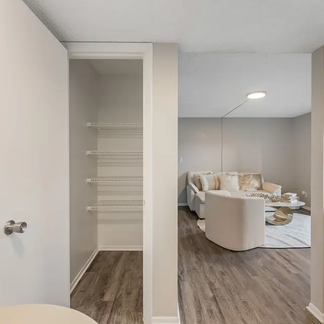 A modern interior view showing a closet entrance on the left and a living area on the right with a sofa and coffee table.