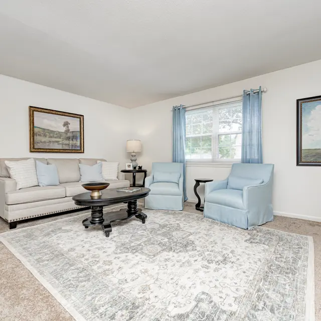 A bright living room featuring a gray sofa with decorative pillows, light blue chairs, a round black coffee table, and a patterned area rug. White walls are decorated with two framed artworks, and a lamp stands next to a potted plant.