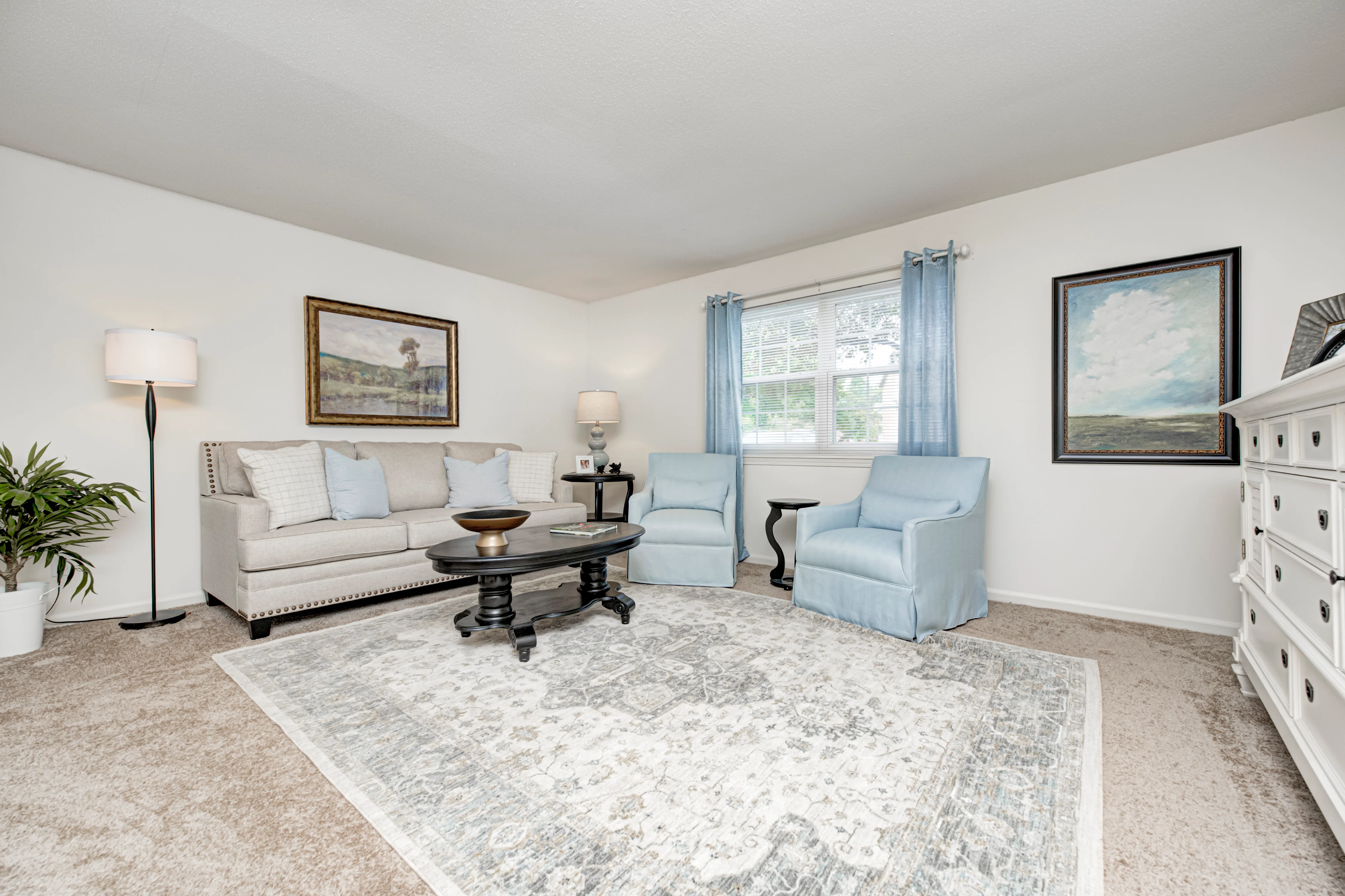 Cozy Living Room Interior A bright living room featuring a gray sofa with decorative pillows, light blue chairs, a round black coffee table, and a patterned area rug. White walls are decorated with two framed artworks, and a lamp stands next to a potted plant.