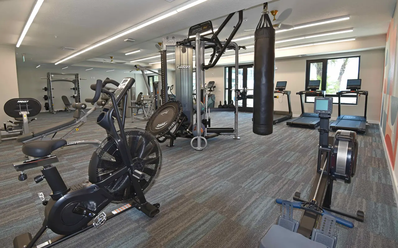 Interior view of a modern gym featuring various exercise equipment including stationary bikes, rowing machine, weight machines, and a punching bag.
