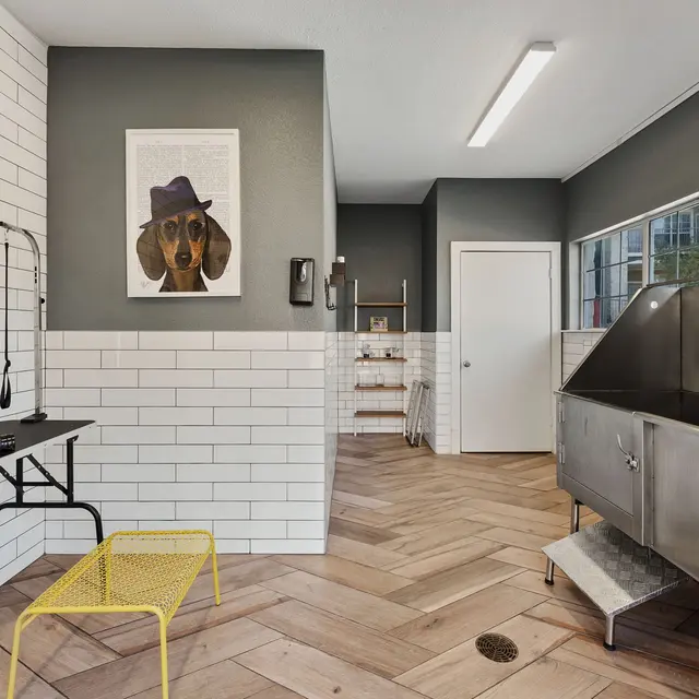 A modern dog grooming space featuring a tiled wall, grooming table with a yellow stool, and a stainless steel tub for washing dogs.