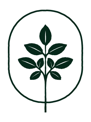 Minimalist logo featuring a stylized plant with leaves inside an oval shape.