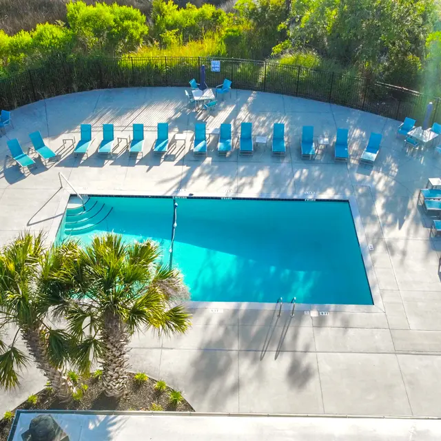 Aerial view of a swimming pool surrounded by loungers and greenery.