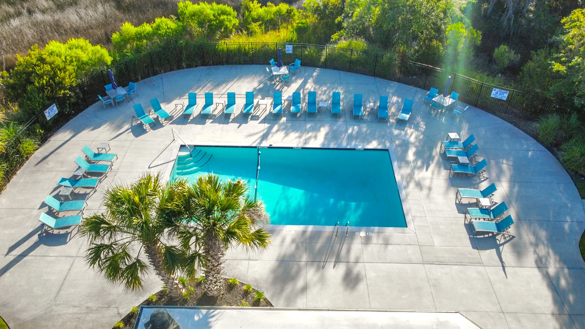 Aerial view of a swimming pool surrounded by loungers and greenery.