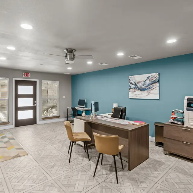 Holly-Office_Dog park-Resized Small-9.jpg