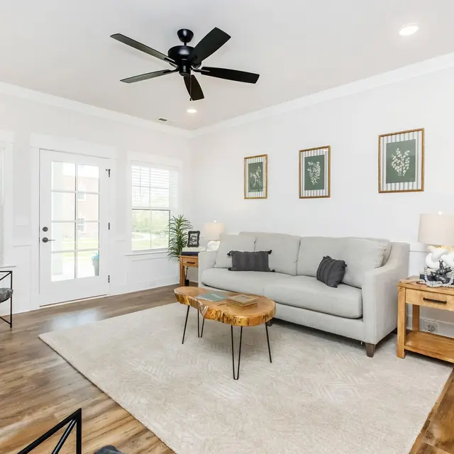 Modern living room featuring a gray sofa, wooden coffee table, plants, and art on the walls, with natural light and a ceiling fan.