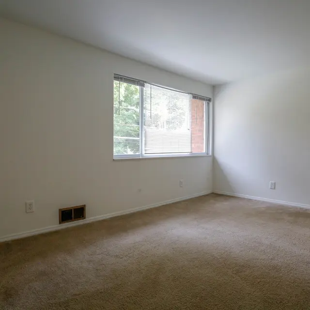 An empty room featuring beige carpet, a large window letting in natural light, and plain white walls.