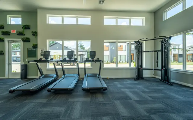 Interior of a modern gym with three treadmills and a cable machine under large windows that let in natural light.