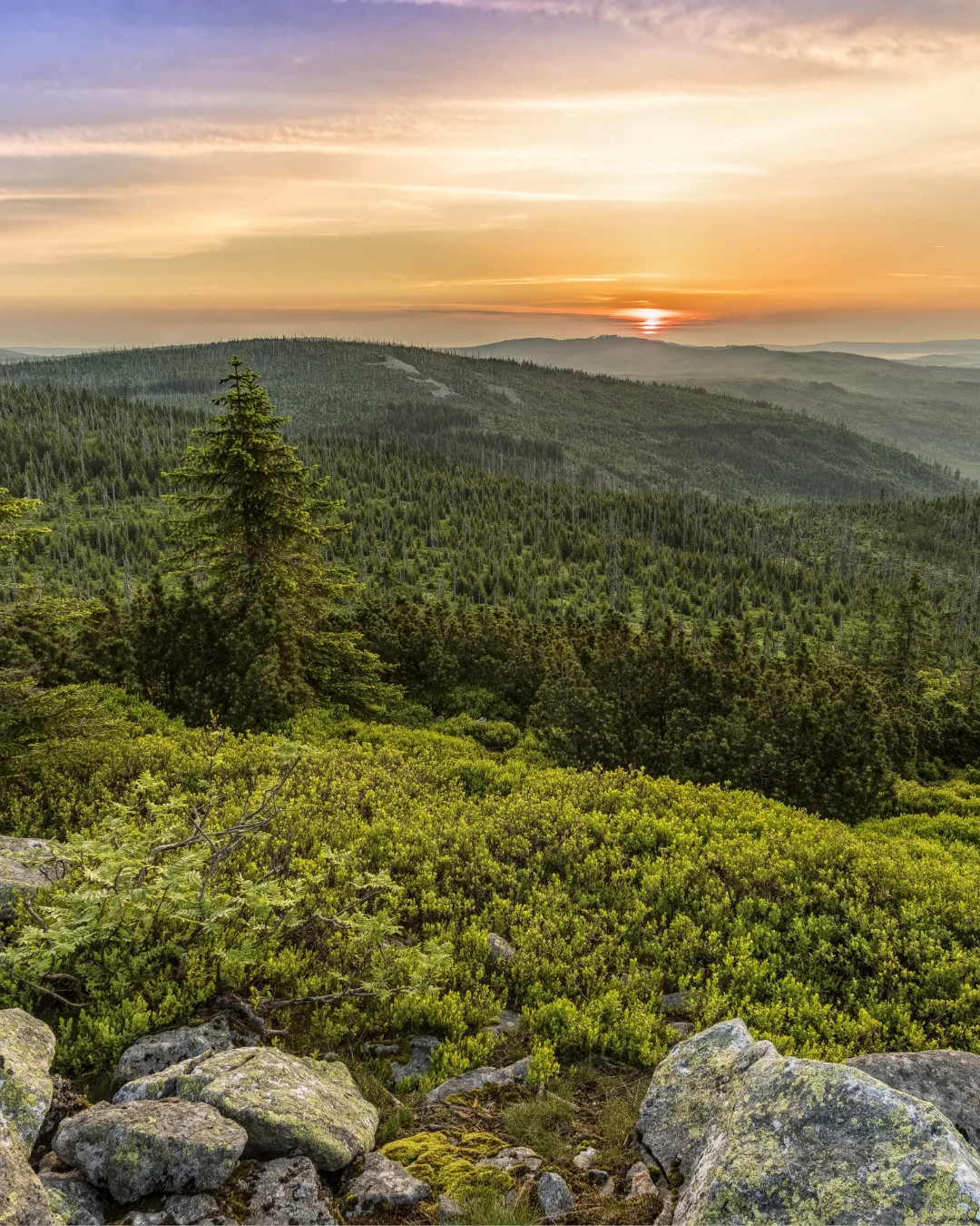 A scenic view of rolling mountains and dense forests at sunset, with vibrant colors in the sky and sun setting on the horizon.