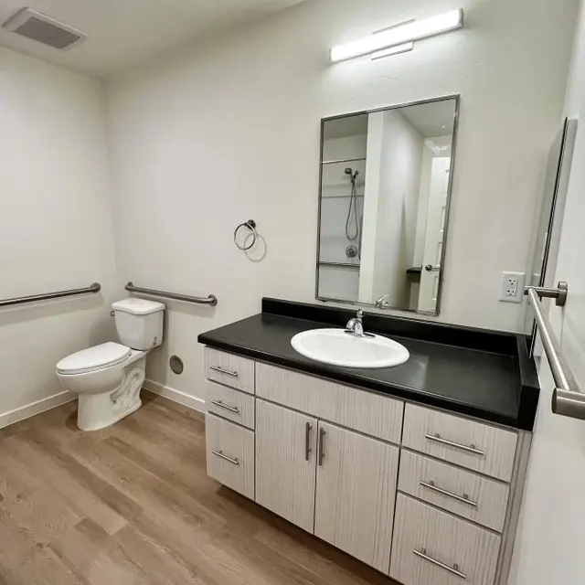 A modern bathroom with a black countertop, white sink, large mirror, and light wooden flooring. A toilet is positioned to the left, and there are grab bars along the wall for accessibility.