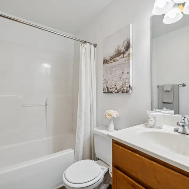 Stylish Bathroom Interior A clean and modern bathroom featuring a bathtub with a shower curtain, a white toilet, and a vanity with a sink. There is a decorative picture on the wall and toiletries on the counter.