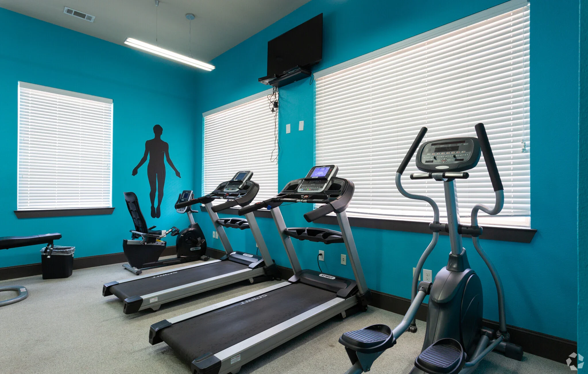 Gym Interior Design Interior of a gym with turquoise walls featuring exercise equipment, including treadmills and an elliptical machine, with large windows and a silhouette of a person on the wall.