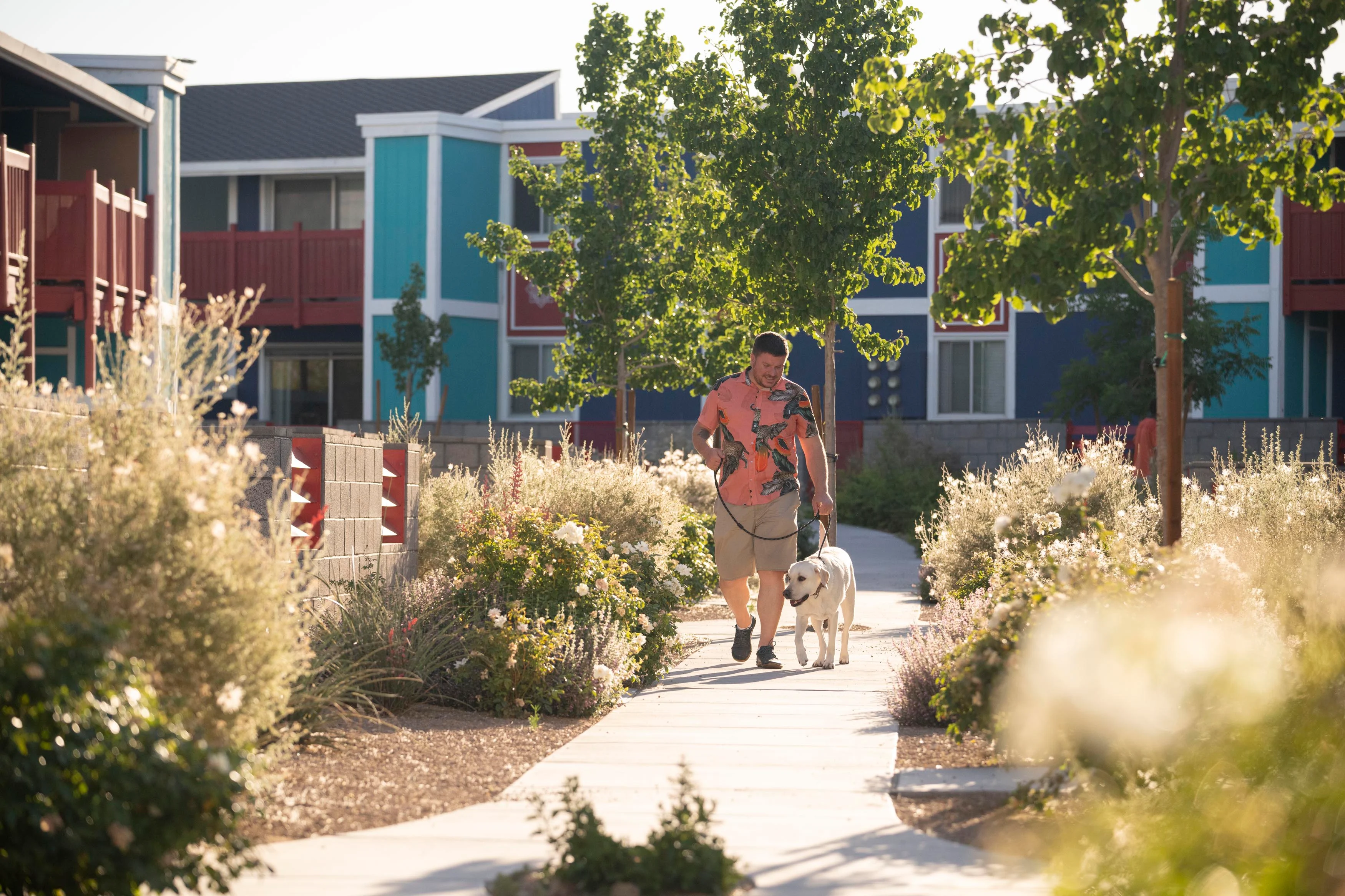 A man walking a dog along a pathway surrounded by greenery in an apartment community.
