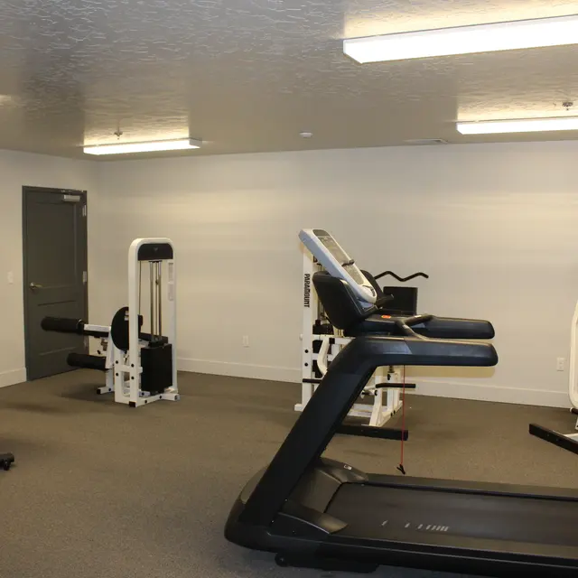 Interior view of a modern gym featuring various exercise equipment including a treadmill, stationary bike, and multi-functional weight machines.