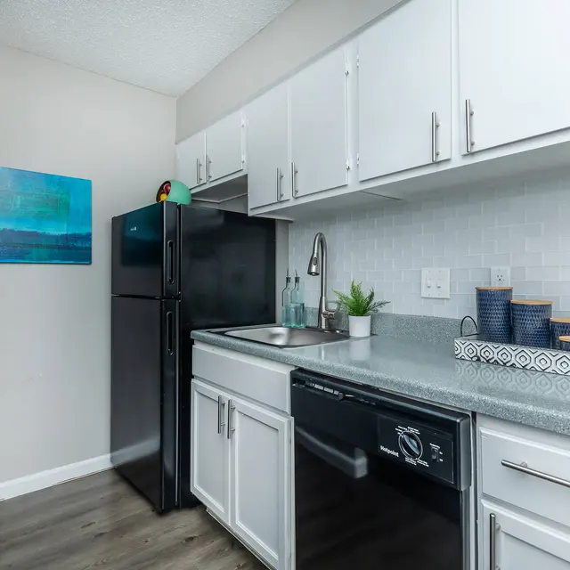 A modern kitchen featuring white cabinetry, a black refrigerator, and a stainless steel sink with a granite countertop. Decorative elements include a plant and organized kitchenware on a tray.