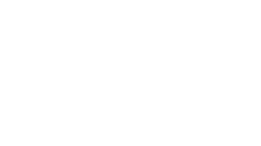 Willow 38