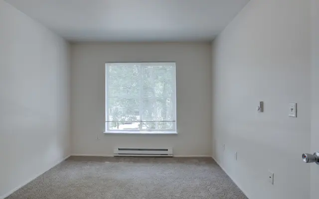 An empty room with light-colored walls and plush carpet. A window with blinds allows natural light to enter.