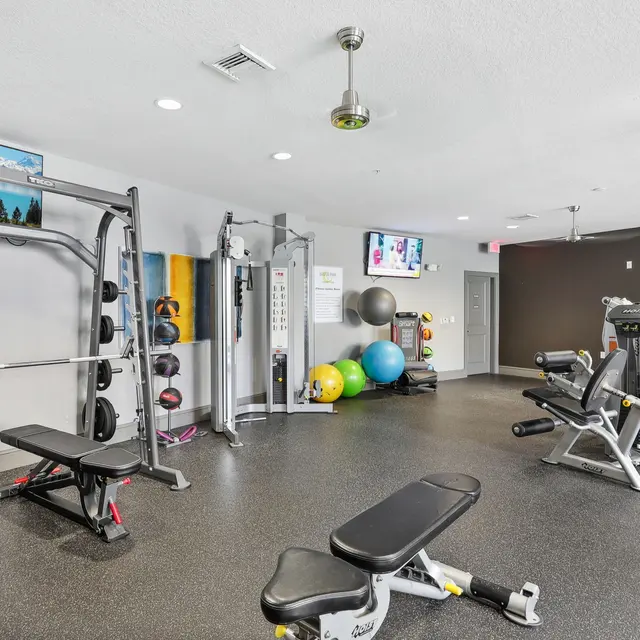 Gym, Fitness, Exercise equipment