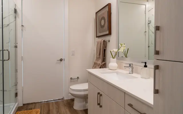 Contemporary Bathroom Interior A modern bathroom featuring a shower, vanity with sink, and toilet, with light-colored walls and wooden flooring.