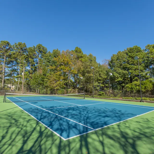 Sunny Tennis Court A sunny tennis court with a blue surface surrounded by trees.