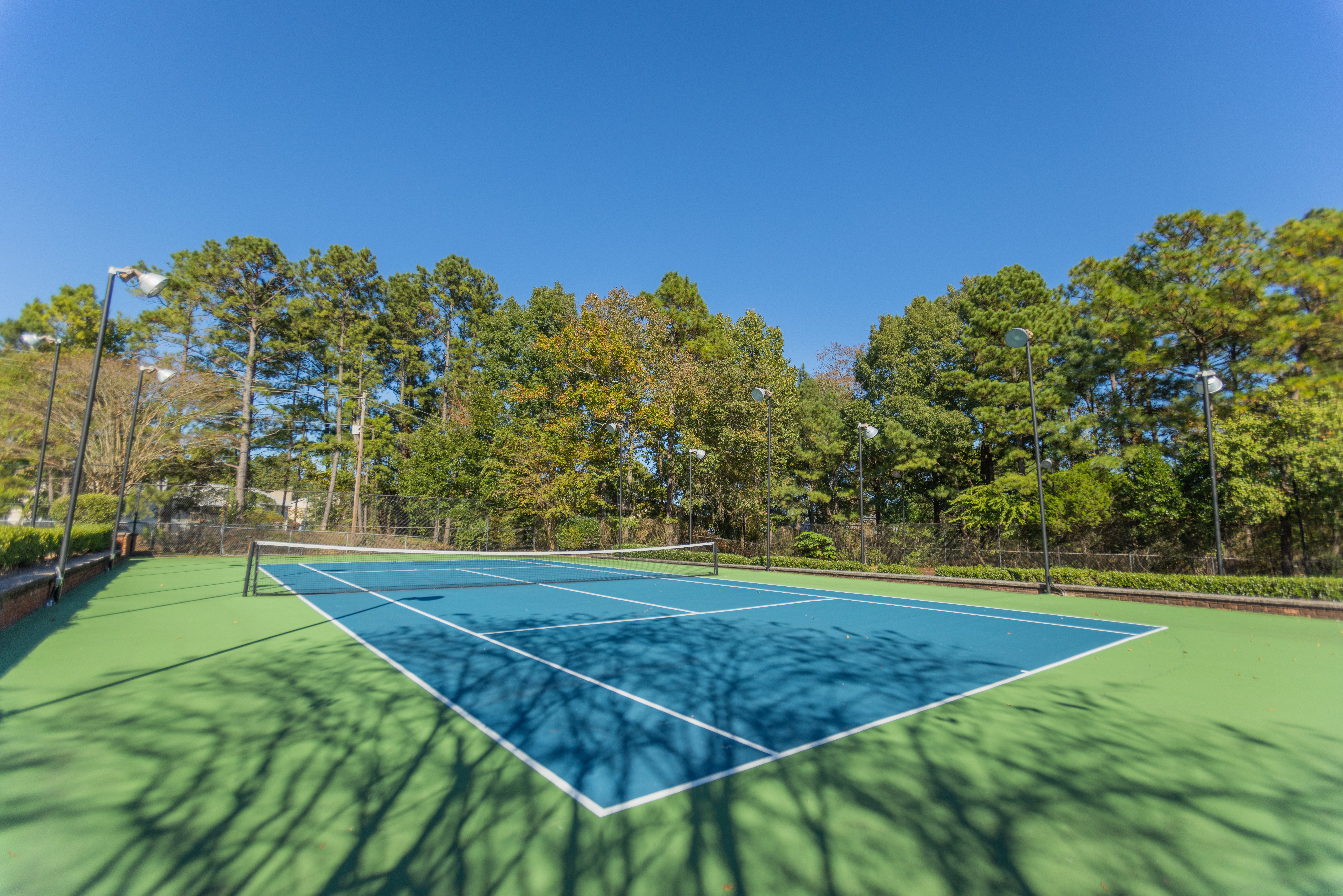 Sunny Tennis Court A sunny tennis court with a blue surface surrounded by trees.