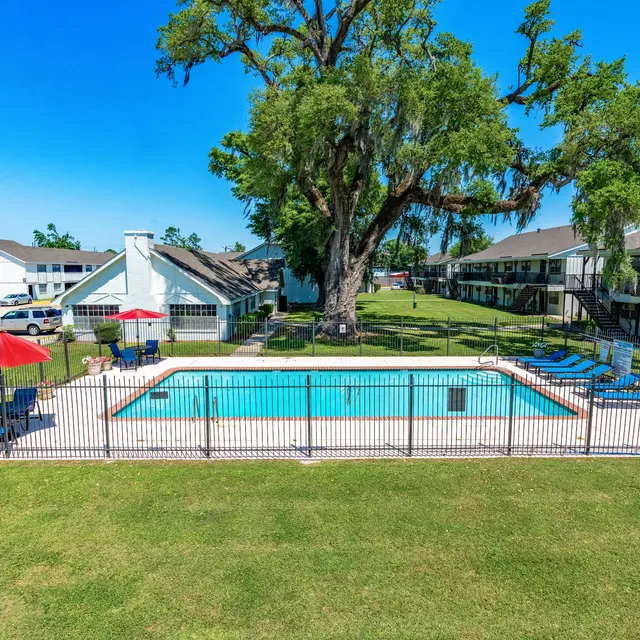 A sunny apartment complex featuring a swimming pool surrounded by a fence, with lounge chairs and umbrellas. A large tree stands nearby, and there are cars parked in the background.