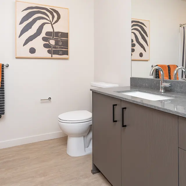 A modern bathroom featuring gray cabinetry, a white toilet, and a large mirror. The space is decorated with orange and black accents, including towels and artwork on the walls. A potted plant adds a touch of greenery to the decor.