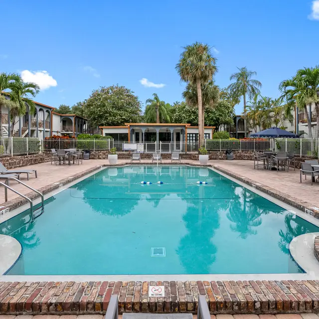 A clear swimming pool surrounded by lounge chairs and palm trees, with buildings in the background.