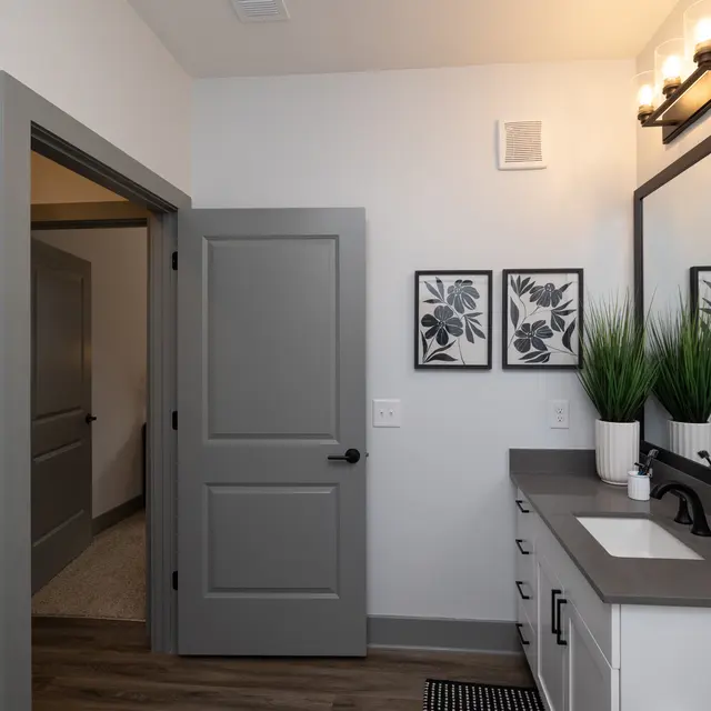 A modern bathroom featuring a gray door, a large mirror, and framed botanical prints on the wall. The vanity area has a stylish sink and some decorative greenery.