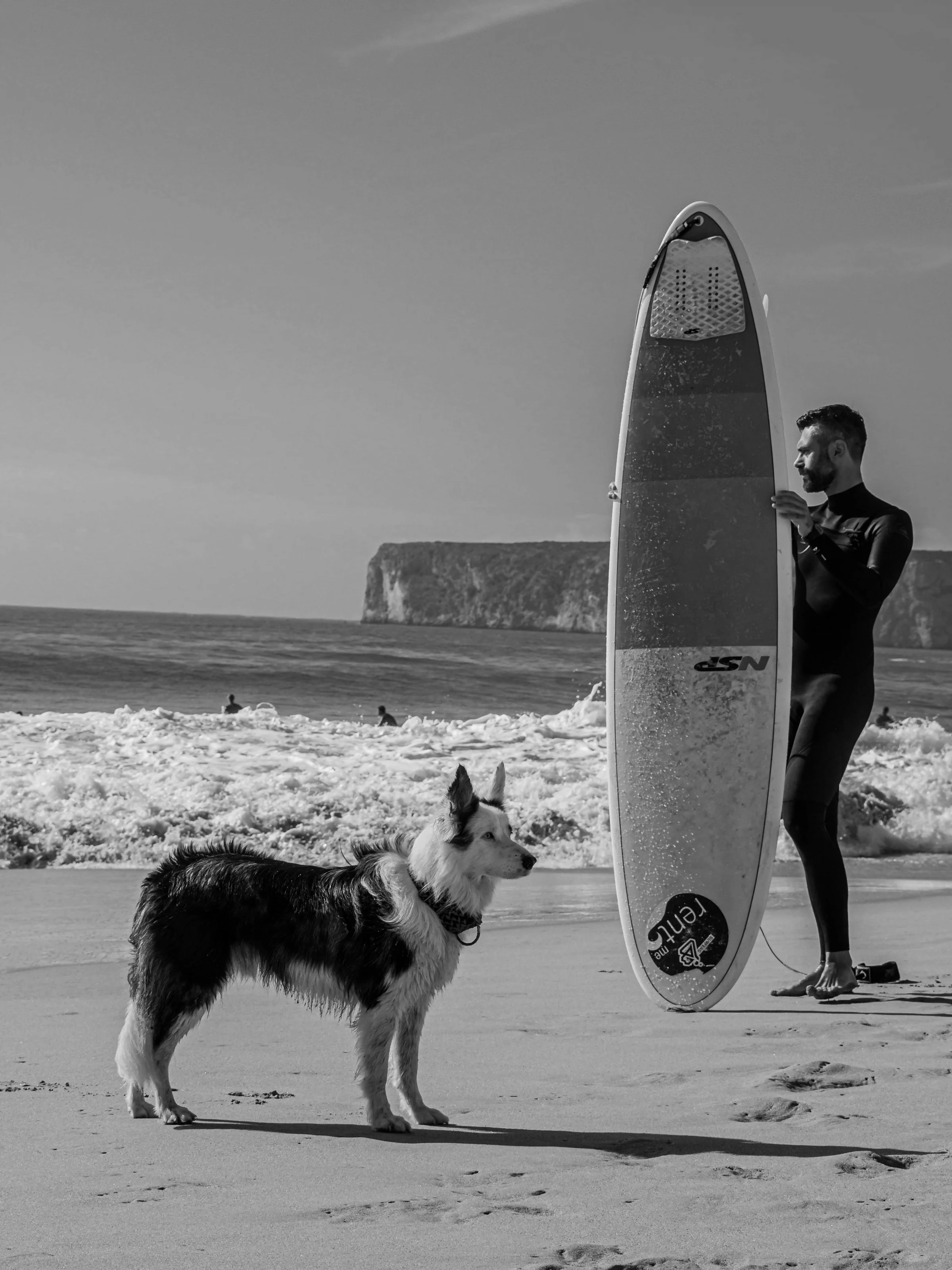A person in a wetsuit holding a surfboard stands on a beach next to a dog. The scene is captured in black and white with waves in the background.