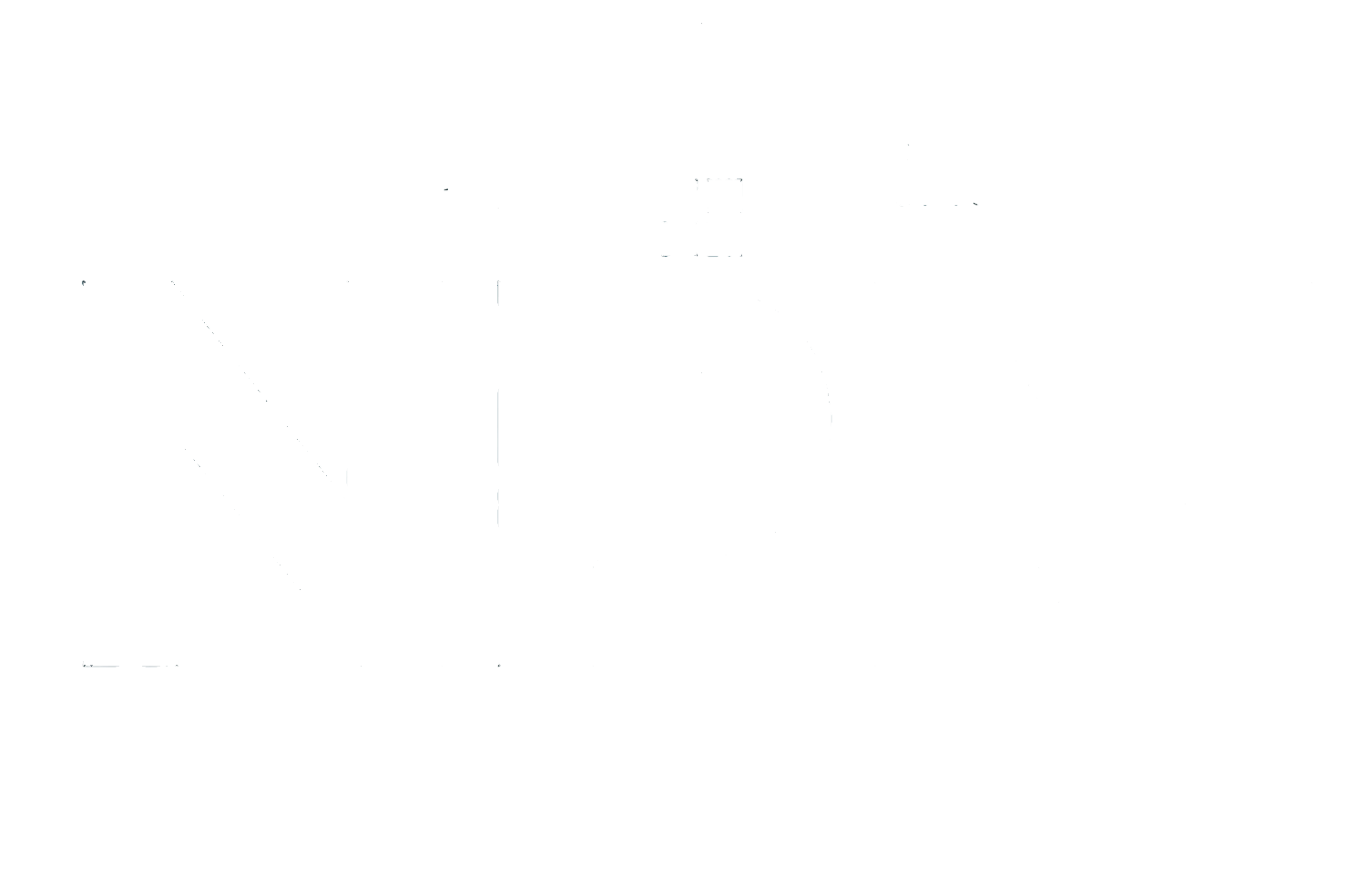 Logo of NPM Residential featuring a house icon above the text.