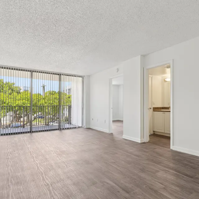 Living Room - Biscayne Apartments Spacious modern apartment living room with large windows and view of greenery outside.