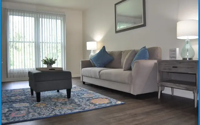 A modern living room featuring a light gray couch with decorative pillows, a coffee table, a patterned rug, and a side table with a lamp.