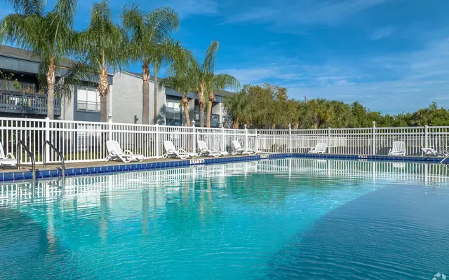 Sunny Pool Area A clear swimming pool surrounded by palm trees and lounge chairs, with a blue sky in the background.