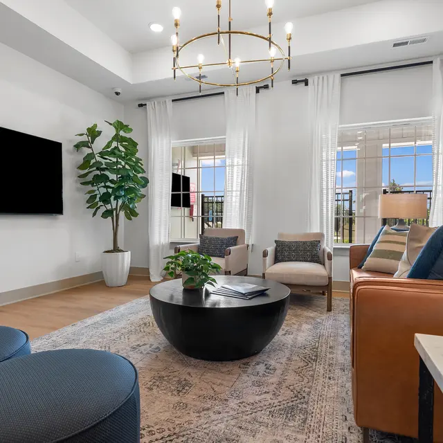 A modern living room featuring a leather sofa, armchairs, a round coffee table, and large windows with white curtains. A decorative plant is in one corner, and there are decorative elements on the table.