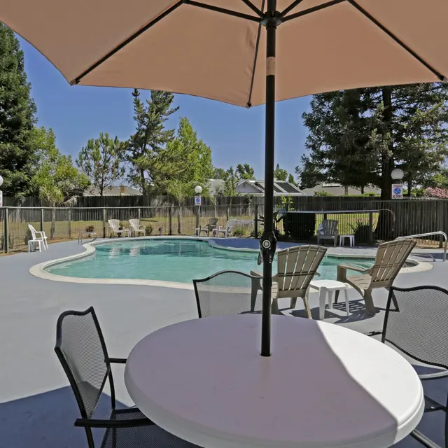 A sunlit swimming pool area featuring a pool surrounded by lounge chairs and tables under umbrellas, with trees in the background.
