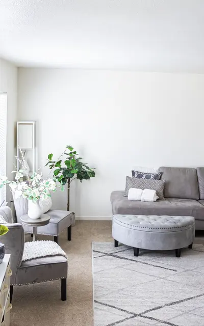 A cozy modern living room with a gray sectional sofa, an ottoman, small armchairs, and a rug. Decor includes potted plants and a mirror.