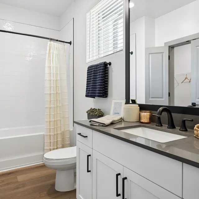 Modern Bathroom Interior A modern bathroom featuring a bathtub with a shower curtain, a toilet, and a double sink vanity with dark fixtures. The walls are light-colored with a large mirror above the sink, and there are decorative items on the countertop.