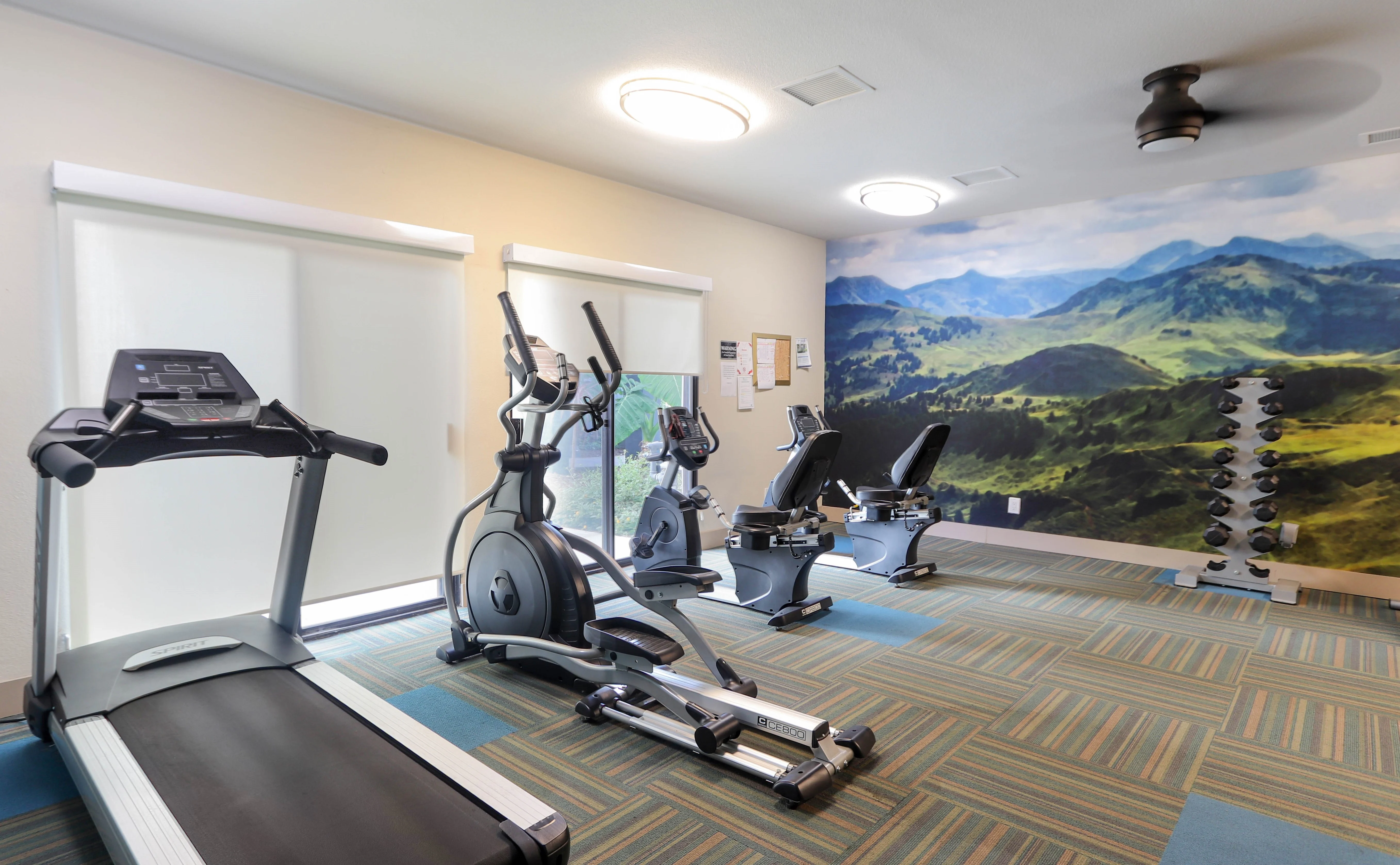Modern Gym Interior with Scenic Mural A modern gym interior featuring a treadmill, elliptical machine, and a stationary bike against a scenic mountain mural. There is also a weight rack visible in the corner.