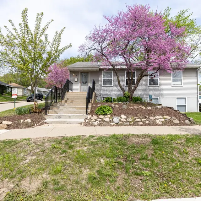 A gray house with purple flowering trees in front, featuring a front staircase leading to the entrance and landscaped yard.