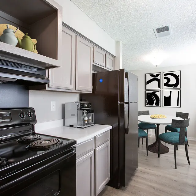 Kitchen Appliances at The Villas at Quail Creek Apartment Homes in Austin Texas 2024.jpg