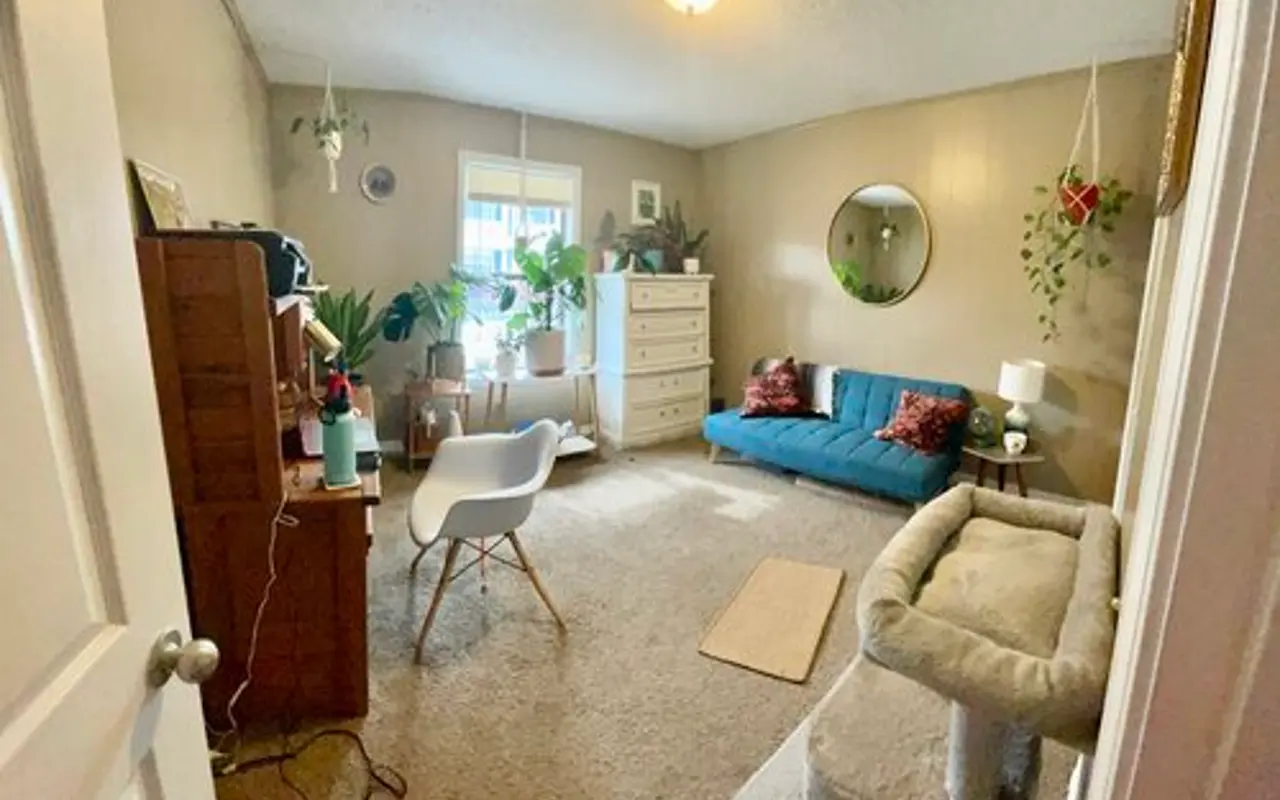 Cozy Living Room A cozy living room featuring a turquoise couch with decorative pillows, a round mirror on the wall, a dresser, plants in the window, and a cat tree.