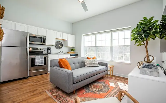 A modern apartment interior featuring a kitchen and living area. The kitchen has stainless steel appliances and white cabinets. A gray sofa with orange and patterned throw pillows is in the living area, alongside a wooden side table and a potted green plant. A colorful area rug lies on the floor, and large windows allow natural light to fill the space.