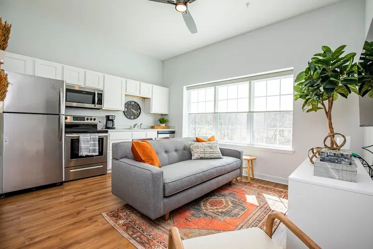 A modern apartment interior featuring a kitchen and living area. The kitchen has stainless steel appliances and white cabinets. A gray sofa with orange and patterned throw pillows is in the living area, alongside a wooden side table and a potted green plant. A colorful area rug lies on the floor, and large windows allow natural light to fill the space.