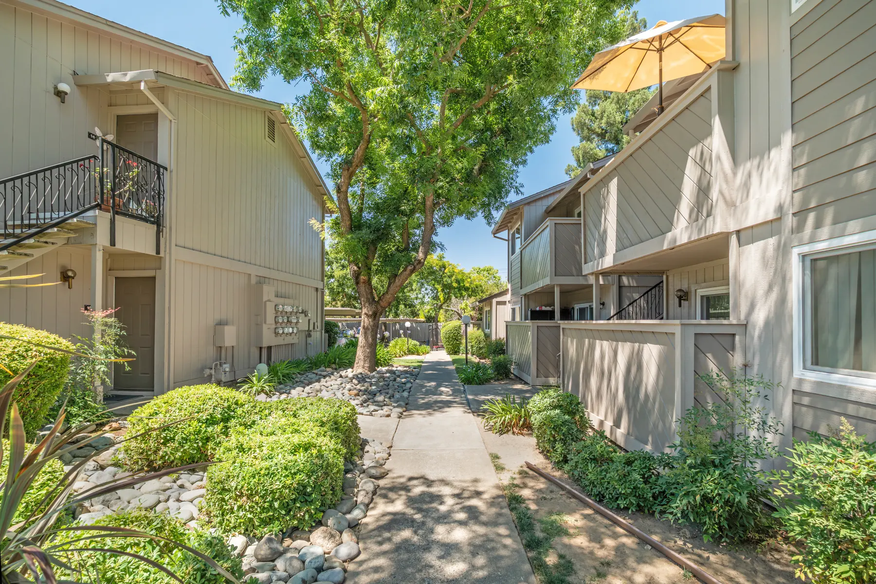 A clear pathway surrounded by greenery in an apartment complex, flanked by two residential buildings.