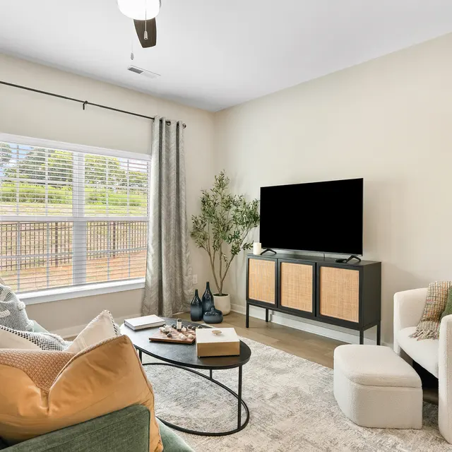 A modern living room featuring a green sofa with decorative cushions, a round coffee table, and a flat-screen television on a wooden cabinet. Light spills in through large windows covered with curtains. A small plant adds a touch of greenery to the space.